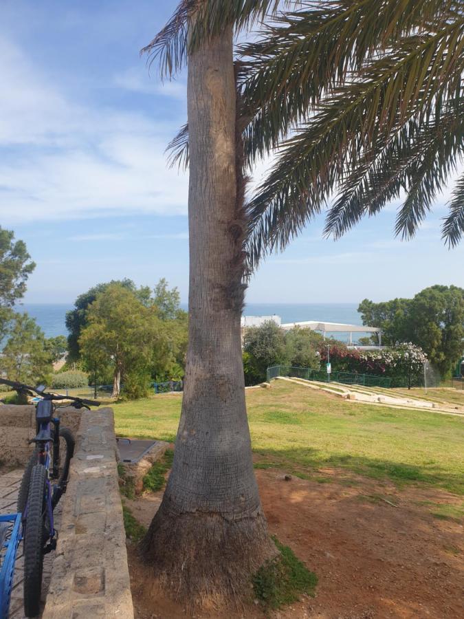 Luxury Studio At The Heart Of Old Jaffa Tel Aviv Esterno foto